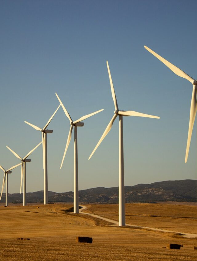 landscape-with-windmills landscape-with-windmills
